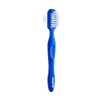 Oral-B Denture brush 6 box For Sale