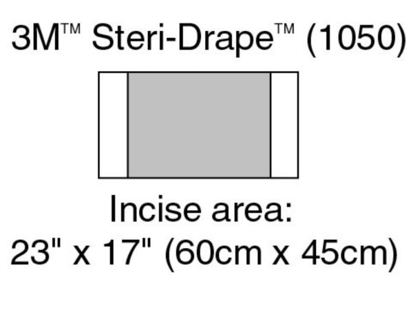 Incise Drape, Overall 32  x 17 , Incise 23  x 17  For Sale